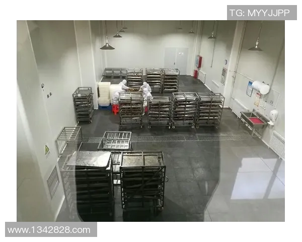 卜部弘嵩与考的对决探讨传统与现代的碰撞与融合