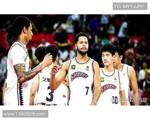 辽宁与广东激战第29轮争夺季后赛席位的关键之战