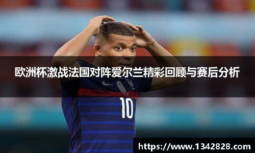 欧洲杯激战法国对阵爱尔兰精彩回顾与赛后分析